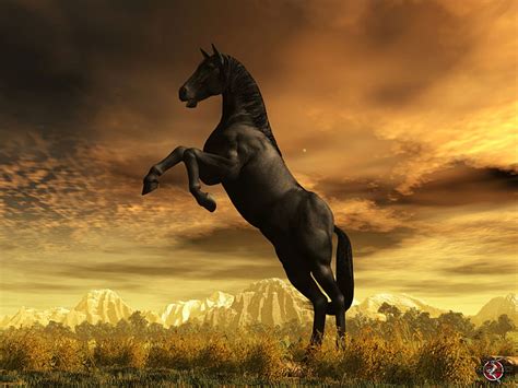 Black Stallion 3d Horse Sky Animals Horses Hd Wallpaper Peakpx