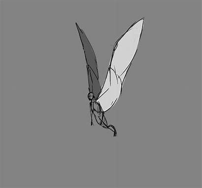Reference Animation Feathers Wings Drawing Angel Anime