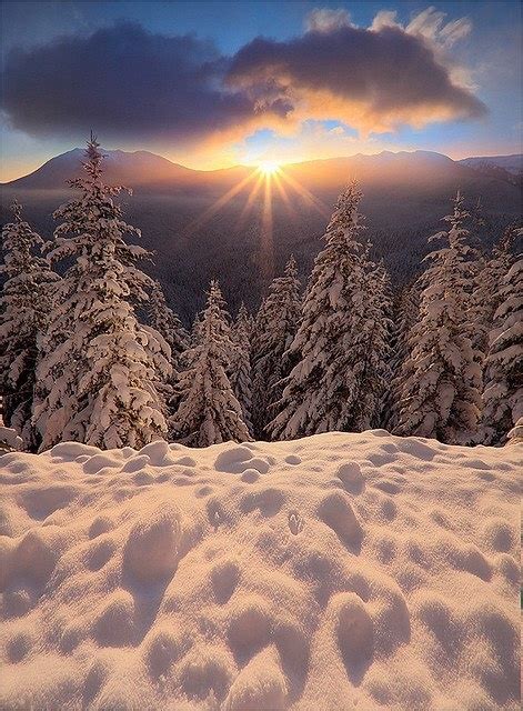 Winter Sunrise Winter And Holidays Pinterest