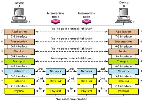 Explain Osi Reference Model And The Services And The Functions Of Each