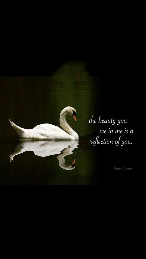 Beautiful Swan Quotes Shortquotescc