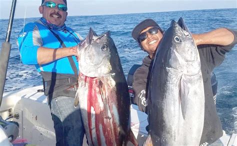 Día De Pesca En Ensenada Prenden Dos Bluefin Tunas