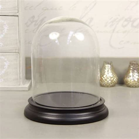 Glass Bell Jar Dome By Lisa Angel Homeware And Ts