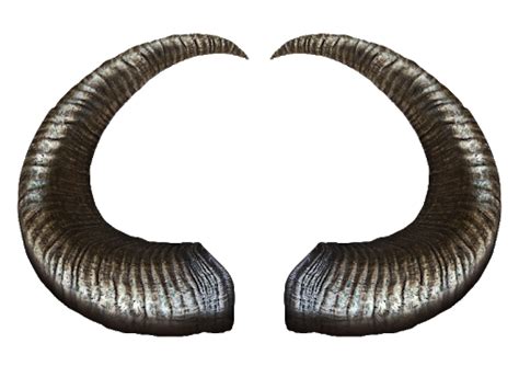 Horn Png Download Image Png All