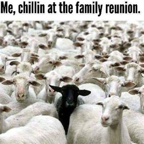 I hope everyone enjoys this page, please if you are a follower like and write a review for me. Black sheep of the family, Sheep meme, Sheep quote