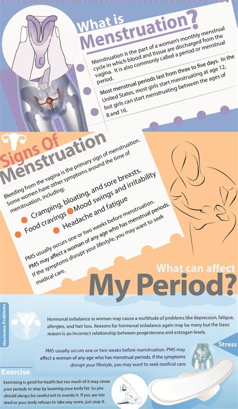 Menstruation And The Menstrual Cycle Infographic Menstruation