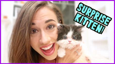 An Amazing Kitten Surprise Youtube