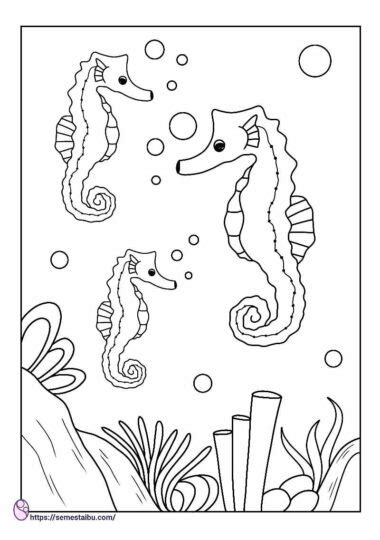 Sketsa Gambar Kuda Laut Kartun Sketsa Kartun Hewan Laut Pewarnaan