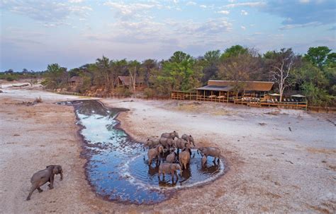 Savute Safari Lodge In Savute Area Of Chobe Botswana Tribes Travel