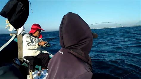 Ikan kakap goreng yang dimasak. TARGET KAKAP MERAH, MALAH PANEN IKAN EKOR KUNING||TAPI ...