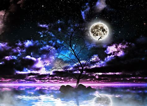 Fantasy Night Full Moon Tree In Middle Of Moon Light And Stars Night