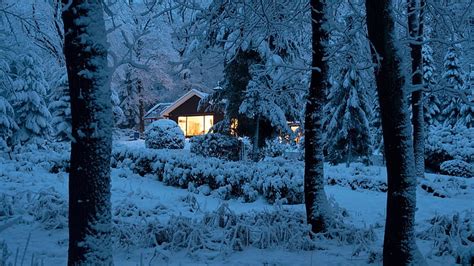 House Log Cabin Snowy Winter Snow Forest Hd Wallpaper
