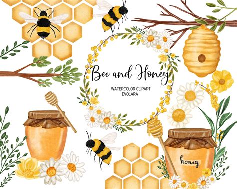Watercolor Bee Clipart Watercolor Honey Clipart Honey Bee Etsy