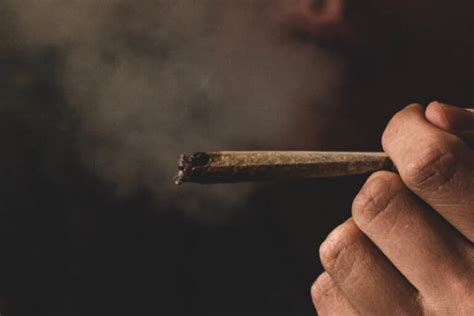 How To Smoke A Blunt Lit Dispensary