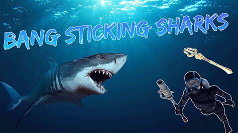 Depth Bang Sticking Sharks Against The Tops Best Shark Youtube
