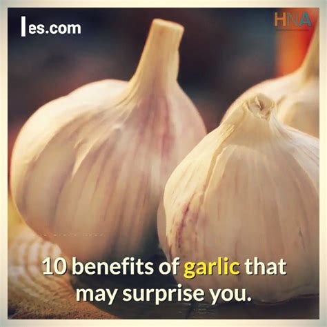 Benefits Of Garlic 10 Benefits Of Garlic That May Surprise You By All About Health And Nutrition