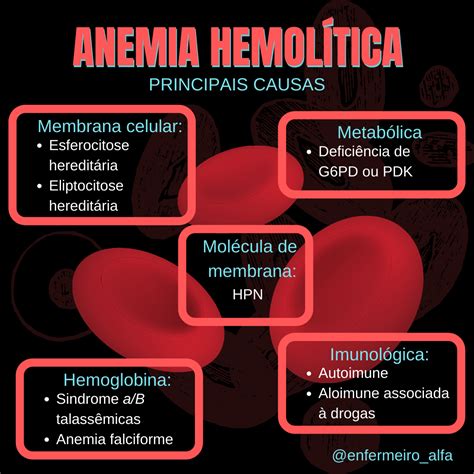 Anemia Hemol Tica Hematologia