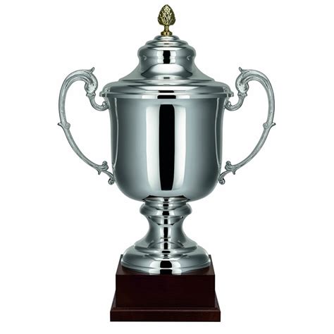Lidded Silver Trophy Cup With Two Handles Awards Trophies Supplier