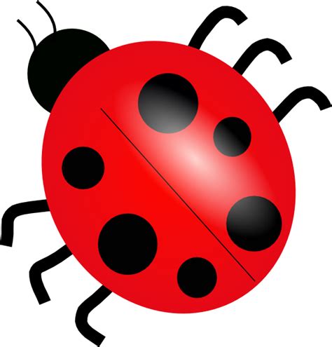 Ladybug 3 Clip Art At Vector Clip Art Online Royalty Free