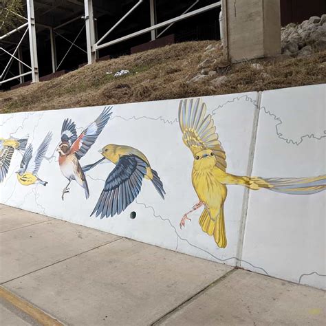 Confluence Migrating Birds Mural