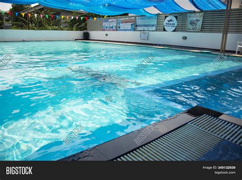 Swimming Pools Sports Image And Photo Free Trial Bigstock