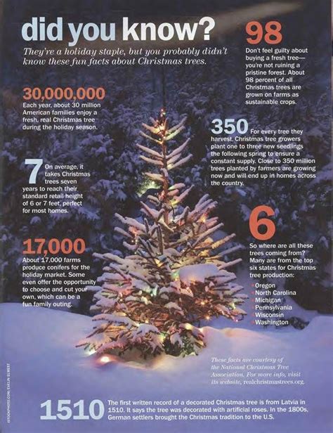 7 Interesting Facts About Christmas Trees Via