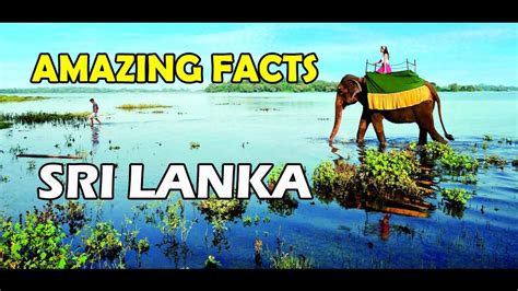 10 Amazing Facts About Sri Lanka Youtube