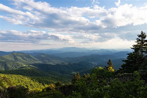 Hiking On The Appalachian Trail At Roan Mountain Stock Photo Download
