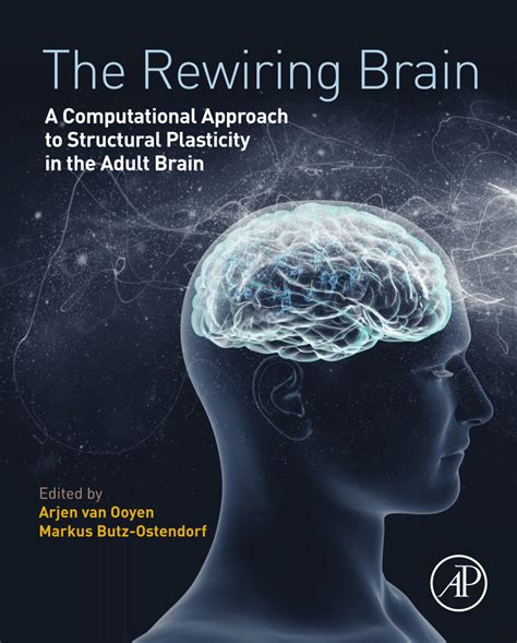 Pdf The Rewiring Brain A Computational Approach To Structural
