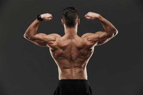 5 Best Back Muscle Building Workouts Bodybuilding Tips By Crazymass