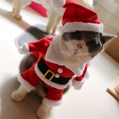 Mpk 10 Years Christmas Cat Costume Cute Santa Red Santa Pet Cat