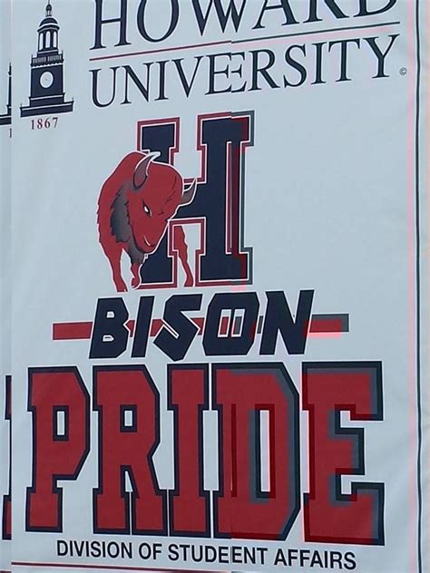 Howard University Bison Howard University Hbcu University