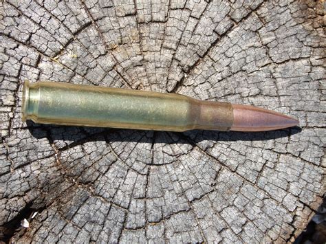 50 Calibre Bullet Golding Surplus