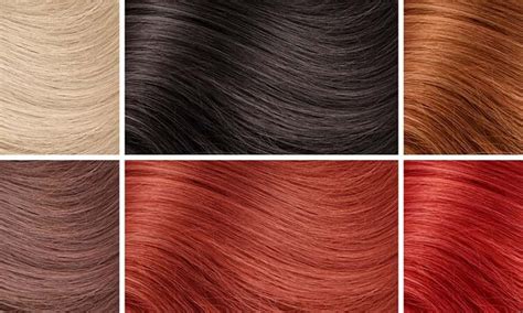 Brown Red Hair Color Chart