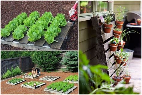Simple Diy Garden Projects For Everyone Arro Home