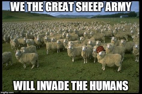 Obama Sheep Imgflip