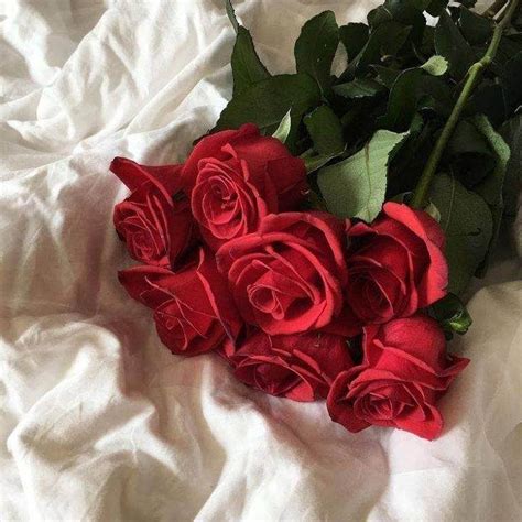 Photo Aesthetic Roses Red Aesthetic Grunge Red Roses