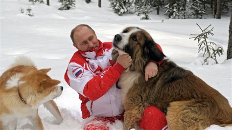 Vladimir Putin With His Dogs Ranormaldayinrussia