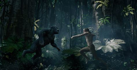 How Tarzan Is Swinging For Male Female Dollars