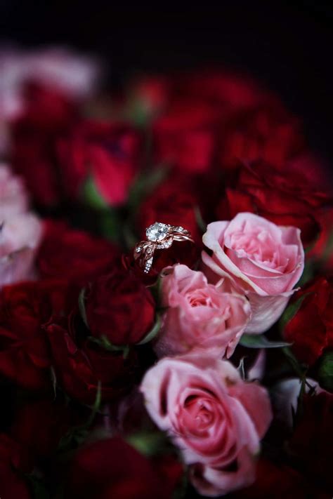 Download Romantic Engagement Ring Roses Aesthetic Valentines Day