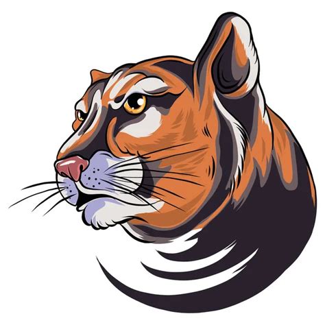 Cougar Panther Mascot Head Vector Graphic — Stock Vector © Chromaco