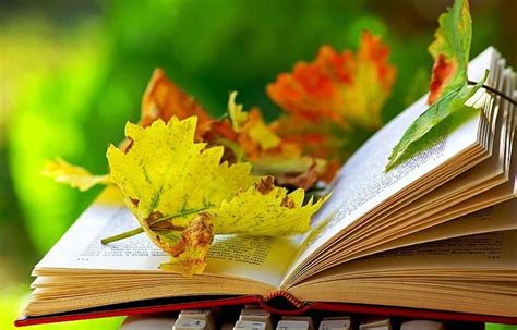 🙌 gracias a la asociación # araparda. #lectura #otoño | Hojas de otoño, Colores de otoño ...