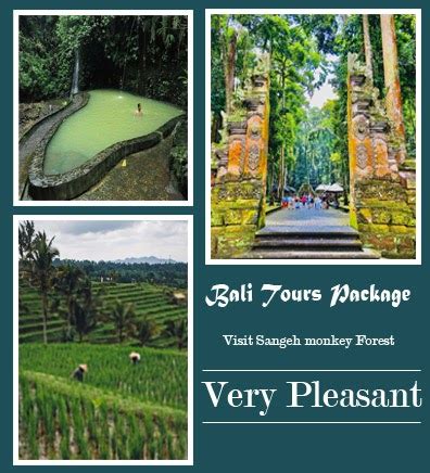 Visit Sangeh Monkey Forest Enjoy Angseri Hot Water Spring Jatiluwih