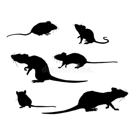 Vector Set Of Rats And Mouses Black Silhouettes Stock Vector Illustration Of Street Black