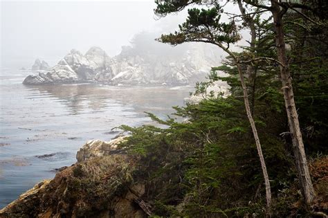 Foggy Morning At Point Lobos Point Lobos Big Sur Califor Flickr