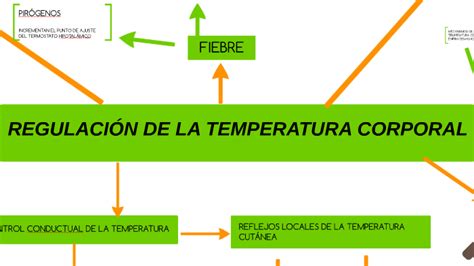 Mapa Conceptual Regulacion De La Temperatura Corporal Necto Images