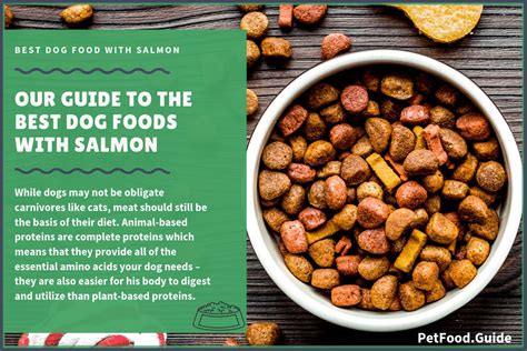 There is no soya, corn, and other substitutes present in the dog food. Best Dog Food For Sensitive Stomach & Diarrhea (Canned ...