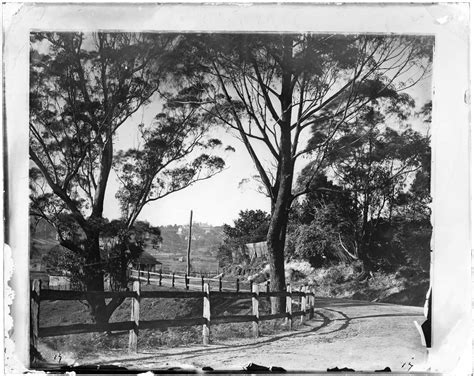 Corner William Street And New South Head Road Woollahra State Library