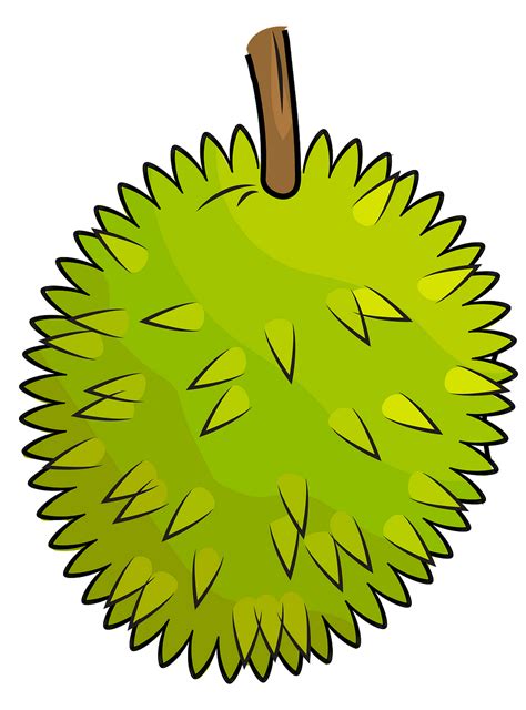 Free Durian Cliparts Download Free Durian Cliparts Png Images Free