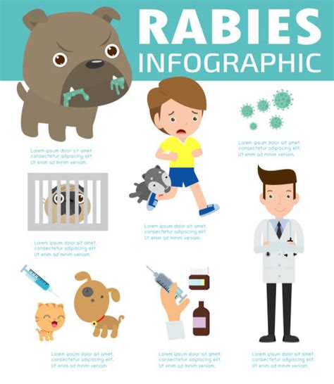 1400 Rabies Stock Illustrations Royalty Free Vector Graphics And Clip Art Istock
